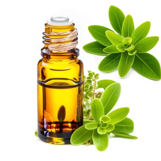 Marjoram Oil