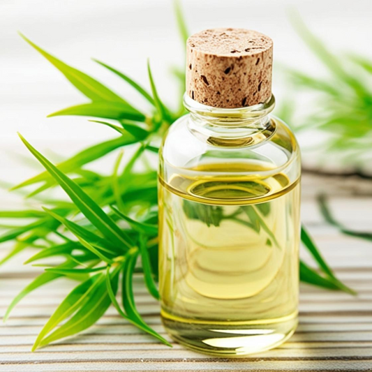 Tea Tree Oil